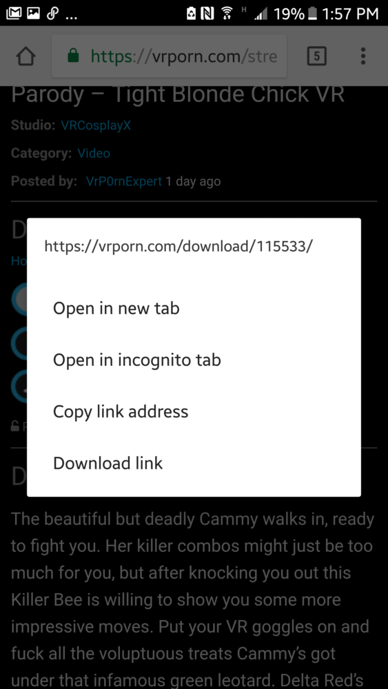 how to use skybox vr video player with vrporn.com videos vr blog virtual reality