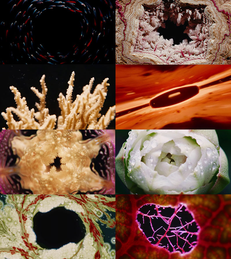 Images from Ancestra